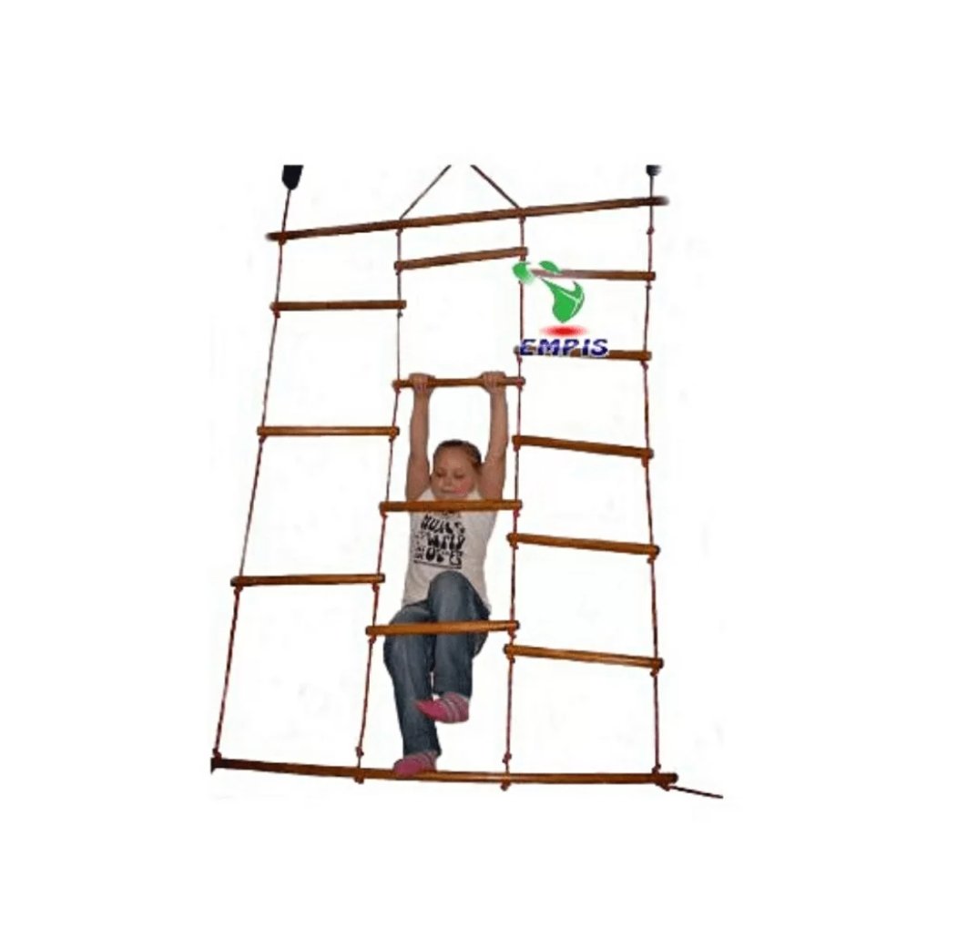 Monkey Bar Swing