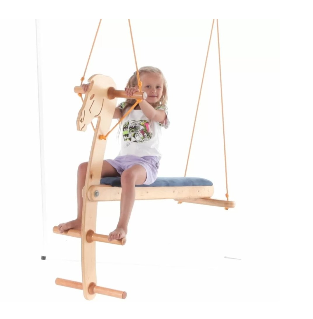 Rocking Horse Swing